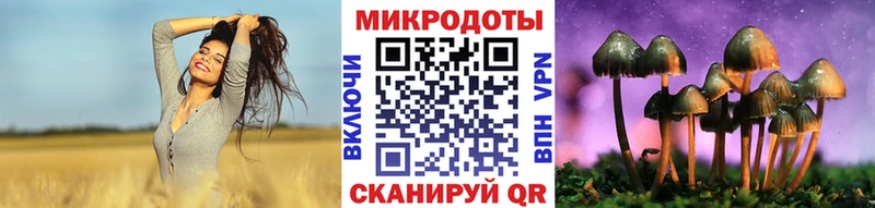 где купить наркоту  Вышний Волочёк  Псилоцибиновые грибы GOLDEN TEACHER 