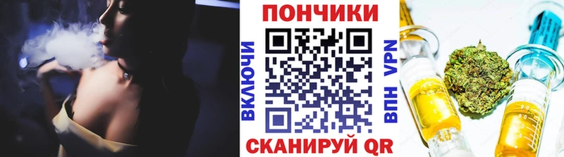 Каннабис сатива  Вышний Волочёк 